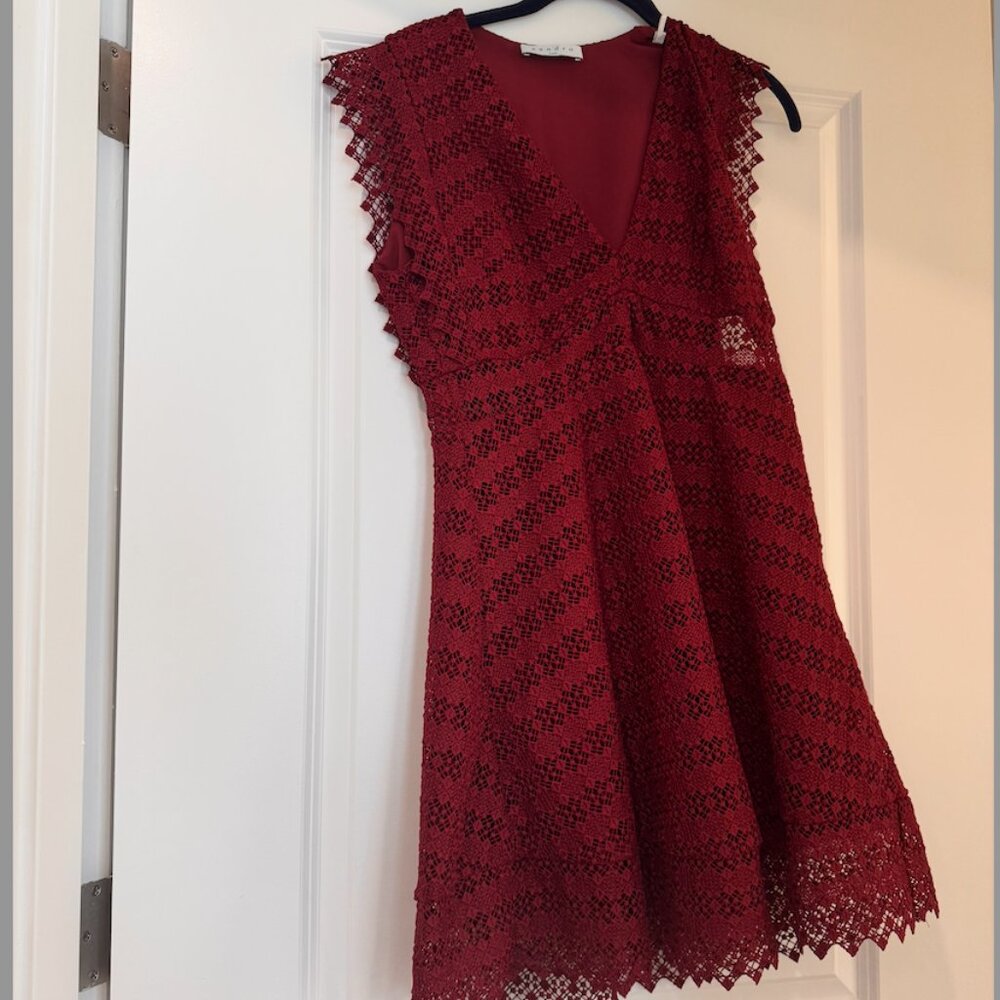 Sandro Paris Lace Dress